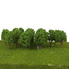 Bild 3 von 12