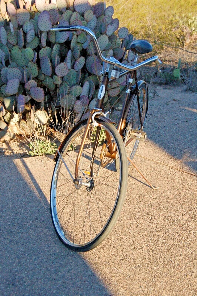 Schwinn Suburban 5spd 1973 vintage Chicago USA Chestnut brown pinstripes Bicycle - Image 4 of 4