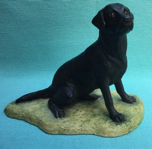 border fine arts black labrador
