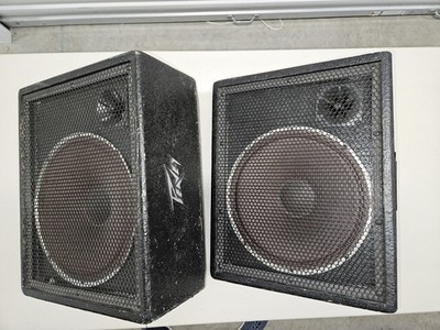 Peavey 112M 65 Watt Floor Monitor Stage Speaker for sale online | eBay