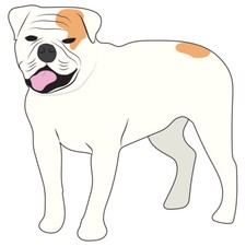 American Bulldog Dog Decal Dog Lover Decor Vinyl Sticker