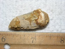 Dinosaur fossil tooth Spinosaurus Cretaceous Era bigger 1.5 inch long E26