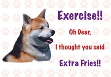 Funny AKITA Dog Vinyl Car Van Decal Sticker P...