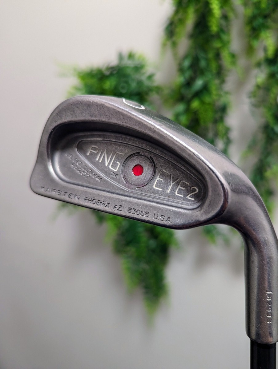 PING - PING あい　ANEW  GOLF Amazon.com | アニューゴルフ(ANEW GOLF) Men's Golf Shoes