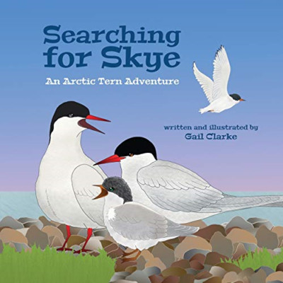 Searching for Skye: an Arctic Tern Adventure -  NEW Gail Clarke 2017
