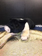 VGUC- 10” Aurora Miyoni Hampshire Pig Black/Tan Piglet Plush Stuffed Snowy