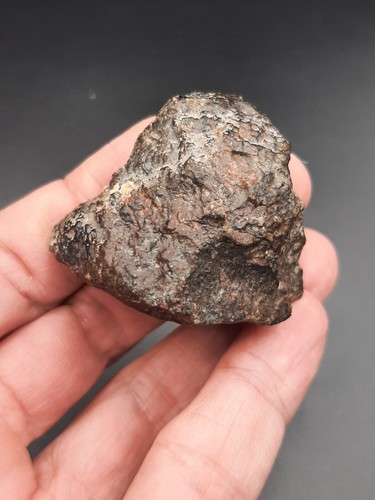 Tindouf Meteorite Chondrite NWA 869 - 82,14g / 4,6cm Algeria Nice fusion crust - Picture 6 of 12