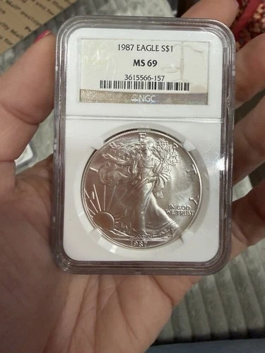 1987 - SILVER AMERICAN EAGLE -MS69 - NGC - One Dollar- .999 1oz #182