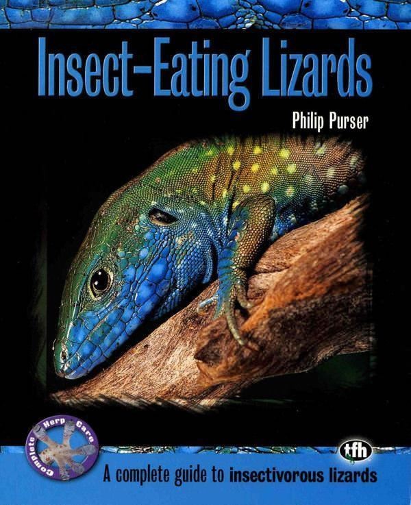 Reptile Book Insect Eating Lizards Complete Guide Health Care Light Gecko Anole