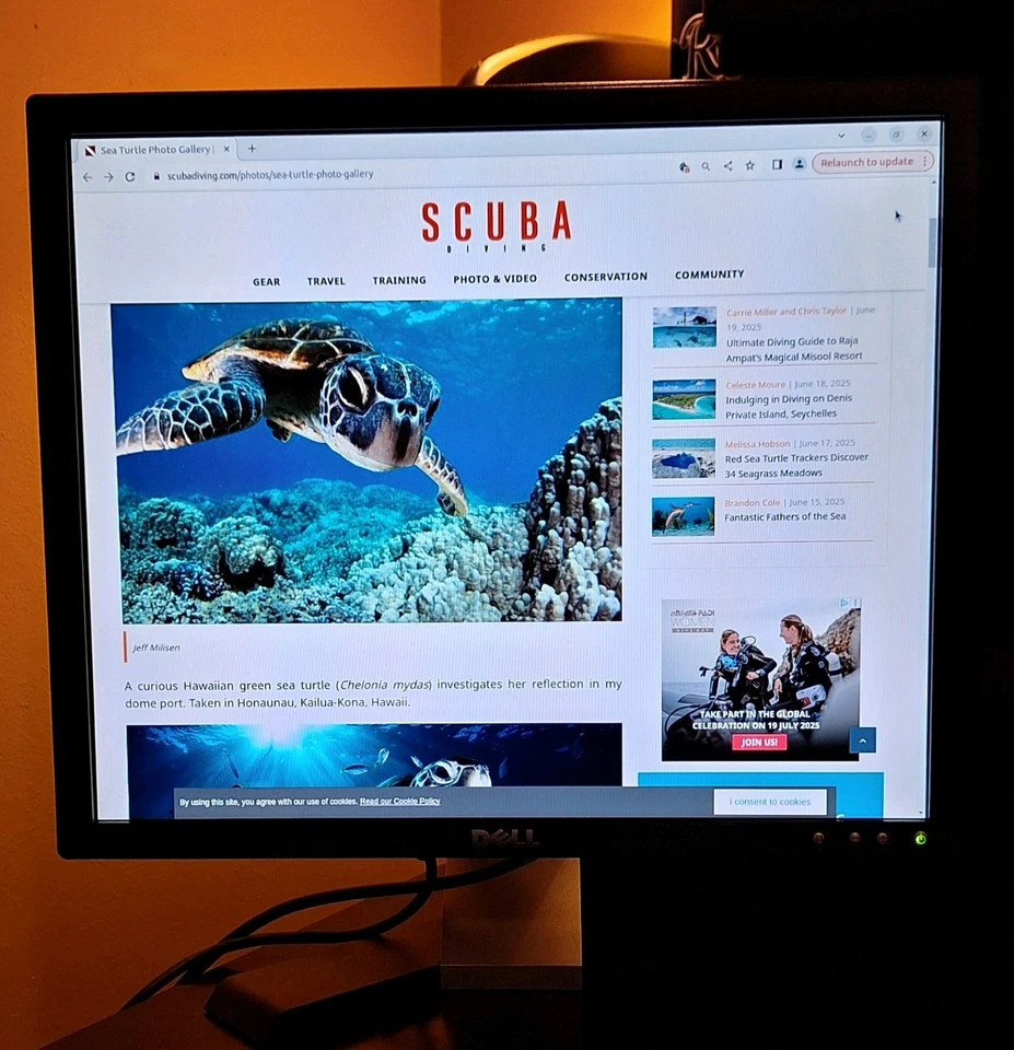 Dell 17-inch 5:4 1280x1024 Flat Panel LCD Monitor **Original Owner ** - Image 4 of 4