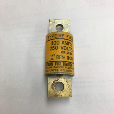 ECONOMY RFN-100 100A 250V TYPE RF FUSE RFN100 NEW CONDITION  NO BOX Federal