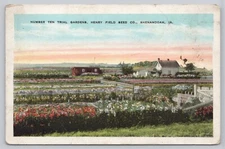 Vtg Post Card Number Ten Trial Gardens, Henry Field Seed CO., Shenadoah IA. B251