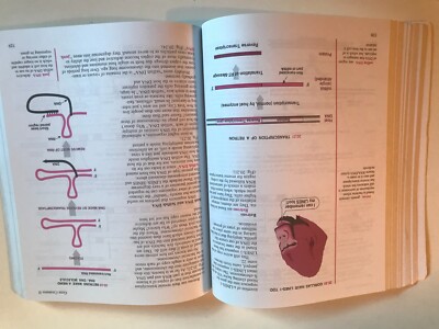 MOLECULAR BIOLOGY Made Simple and Fun ~ 4th Edition ~ David MOLECULAR BIOLOGY Made Simple and Fun ~ 4th Edition ~ David