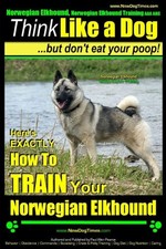 Norwegian Elkhound, Norwegian Elkhound Training AAA AKC | Think Like a Dog ~ Bu,