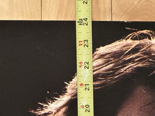 Vintage Andre Agassi II NIKE Poster Challenge Court Original 24x36 Wimbledon - Picture 8 of 9