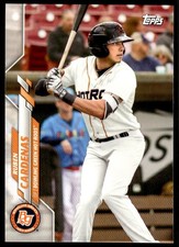 2020 Topps Pro Debut Ruben Cardenas Bowling Green Hot Rods #PD-198