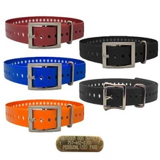 1" Basic Dog Collar with Brass Name Plate