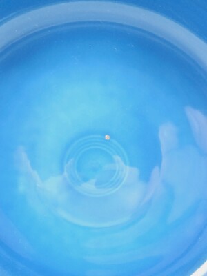 Fiesta Mulberry 96 Oz. Extra Large Bistro Serving Bowl - Macy's - View #7