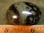 1.5inch 42g KAMBABA JASPER STROMATOLITE PALMSTONE MADAGASCAR #130 — photo 5