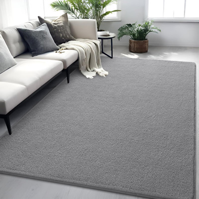 Gray Rugs for Bedroom Living Room, 4X6 Ft Grey Area Rug, Washable Memory Foam In