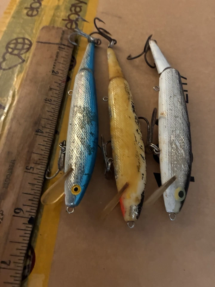 Lote 3 señuelos articulados REBEL Minnows surf pesca lubina raya pez azul pez débil Foto 2 de 4