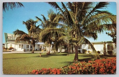 Sea Shell Motel Naples Florida Tropical Palm Trees Garden Postcard