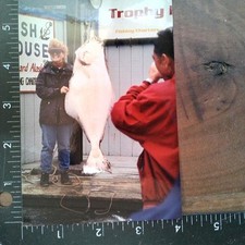 Fishing Halibut 1990s Snapshot Photograph Seward Alaska Big Fish