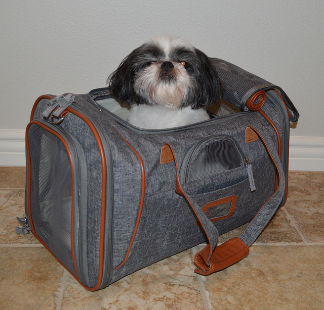 pawdle pet carrier