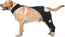 Small - Left Rear Leg Recovery Suit for Dogs After Surgery, Prevent Licking