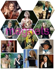 LINDSAY WAGNER #1,the bionic woman,lee majors,jamie somers,11pc MAGNET SET