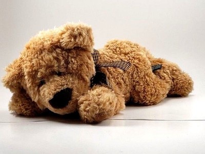 teddy bear laying down