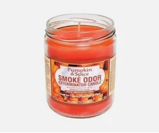 Smoke Odor Exterminator, Pumpkin & Spice Candle, 13 oz,