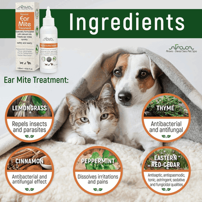 Homemade ear cheap mite treatment