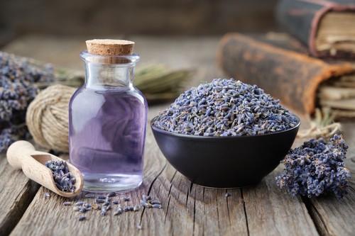 Biglietto di ringraziamento insegnante biglietto semi piantabili lavanda ecologico aiutami a crescere A6 - Foto 8 di 8