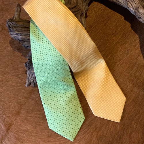 2 ROBERTA di CAMERINO men's tie 100% Silk Made in Italy