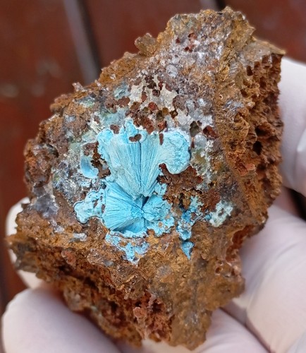 Shattuckite goethite and quartz - Tantara mine DRC Congo - Picture 10 of 12