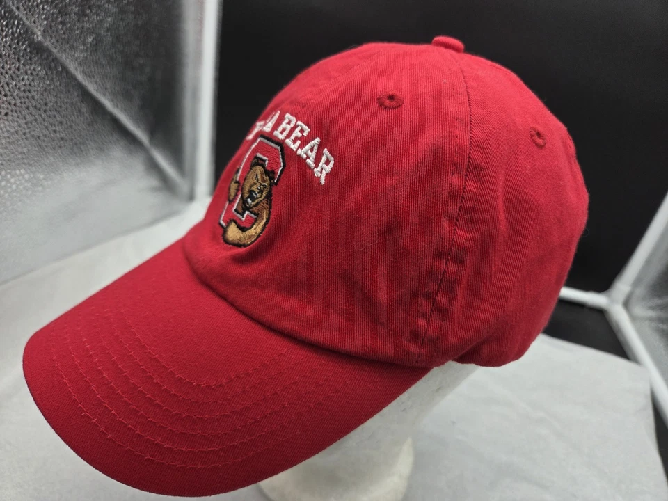 Cornell University Big Red  Cap Hat Adj Dad  Hat Bear Ivy League NCAA - Image 3 of 4