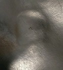 Foto 22 di 22
