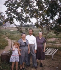 Vintage Stereo Realist Photo 3D Slide FAMILY Under Tree