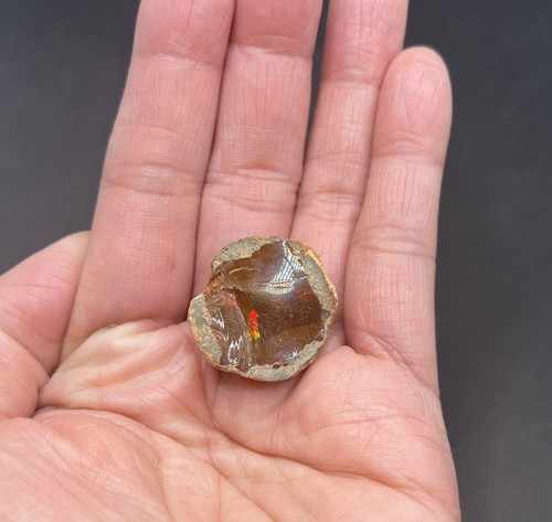 Genuine Shewa Opal from Africa! 7.2g Almost 1in BEAUTIFUL - Picture 6 of 9