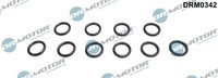 1X Dr.Motor Automotive DRM0342 Dichtung ÖLfiltergehäUse FüR BMW