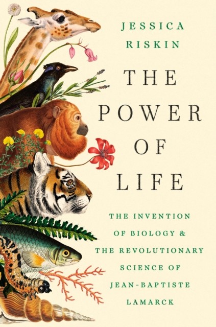 Power Of Life