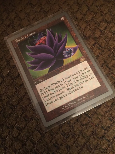 Blacker lotus ботания
