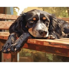 Paint By Numbers Adults kids Animals Dog Bench DIY Painting Kit 40x50CM Canvas