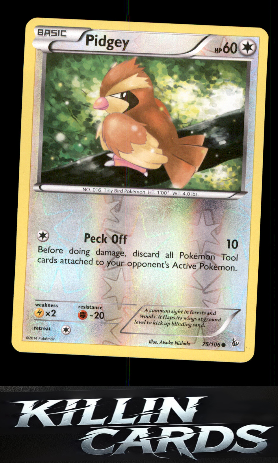 Reverse Holofoil Pidgey 75/106 Pokemon Common XY - Flashfire Card NM