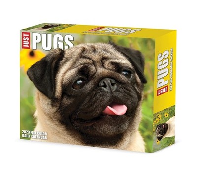 Libro - Willow Creek Press - Mops 2023 Box Kalender - Willow Creek Press