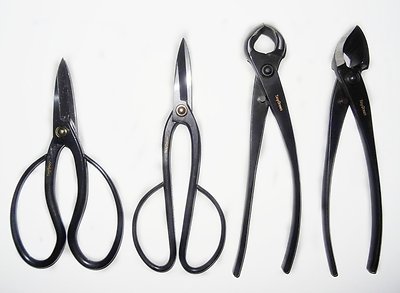 TinyGreen Japan Bonsai Tool set: Professional Japanese Four Pieces Combination