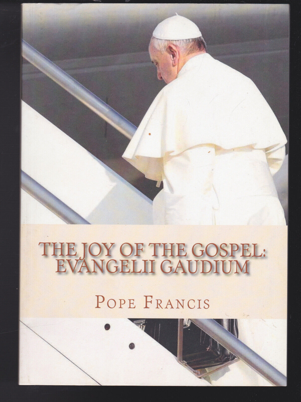 Evangelii Gaudium: The Joy of the Gospel by Pope Francis