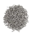 newlng 500PCS Small Nail Round Head Tiny Nails 10Mm X 1Mm, Silvery1*10mm