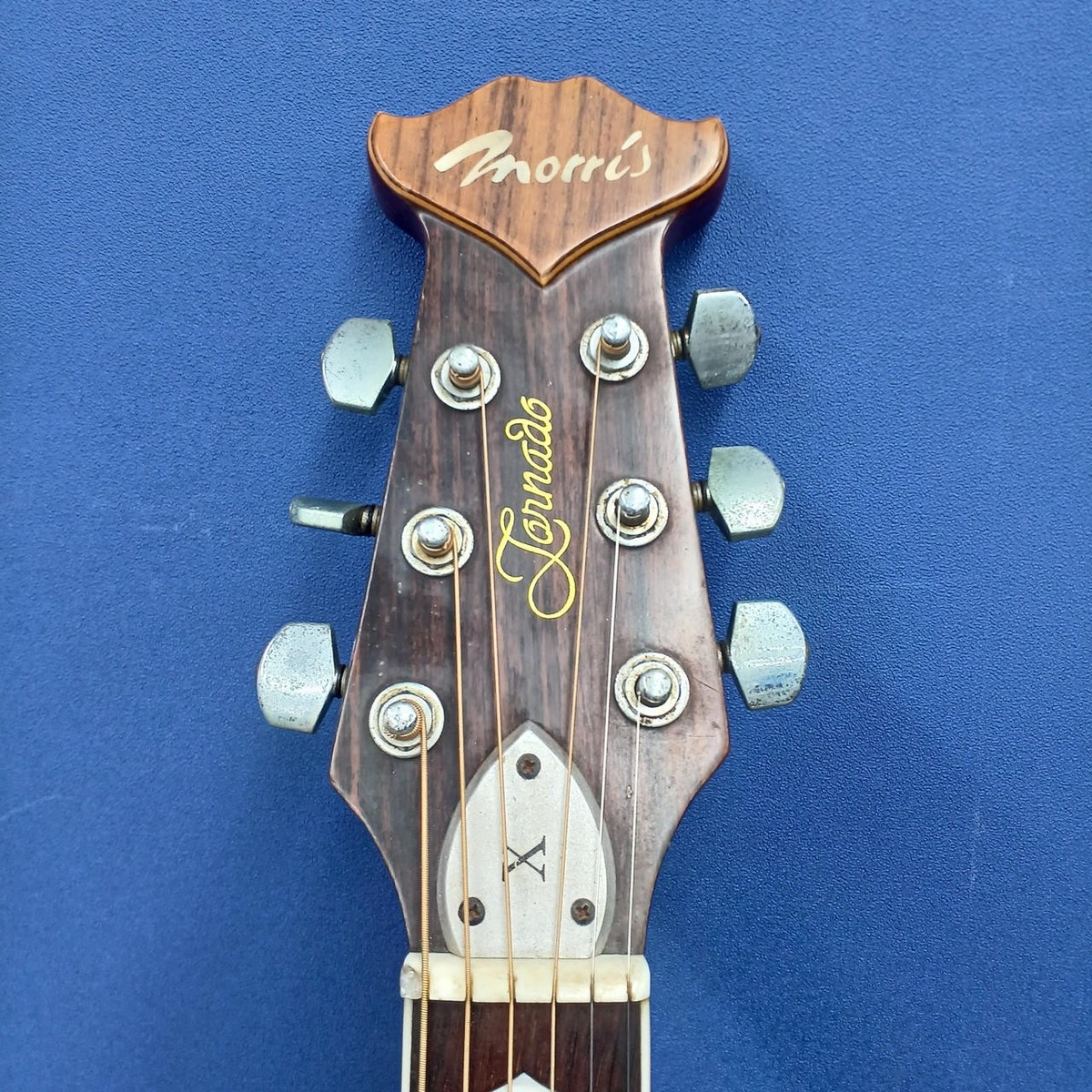ギター Morris Tornado GXX Morris Tornado GXM Acoustic Guitar